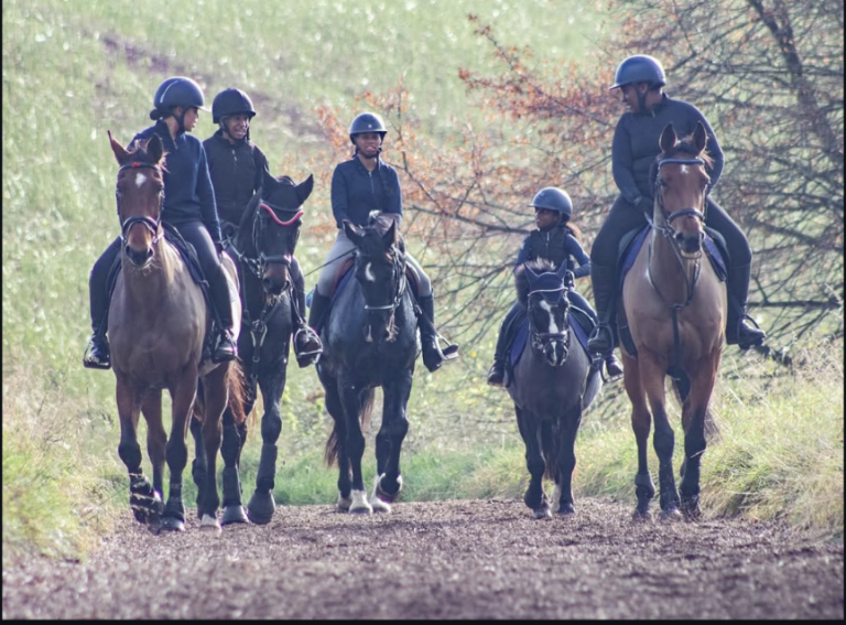 A group of riders out hacking together